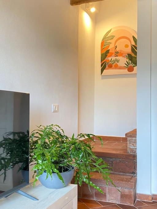 Relax&Business Wi-Fi, Tv Hd, Parcheggio Gratuito Villa Capannori Exterior foto